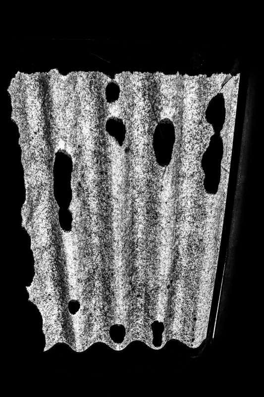 2014 02 06 Abattoir Vesoul IMG 8633